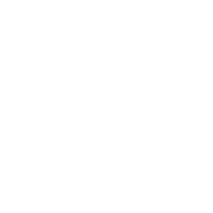 PHP Scripts
