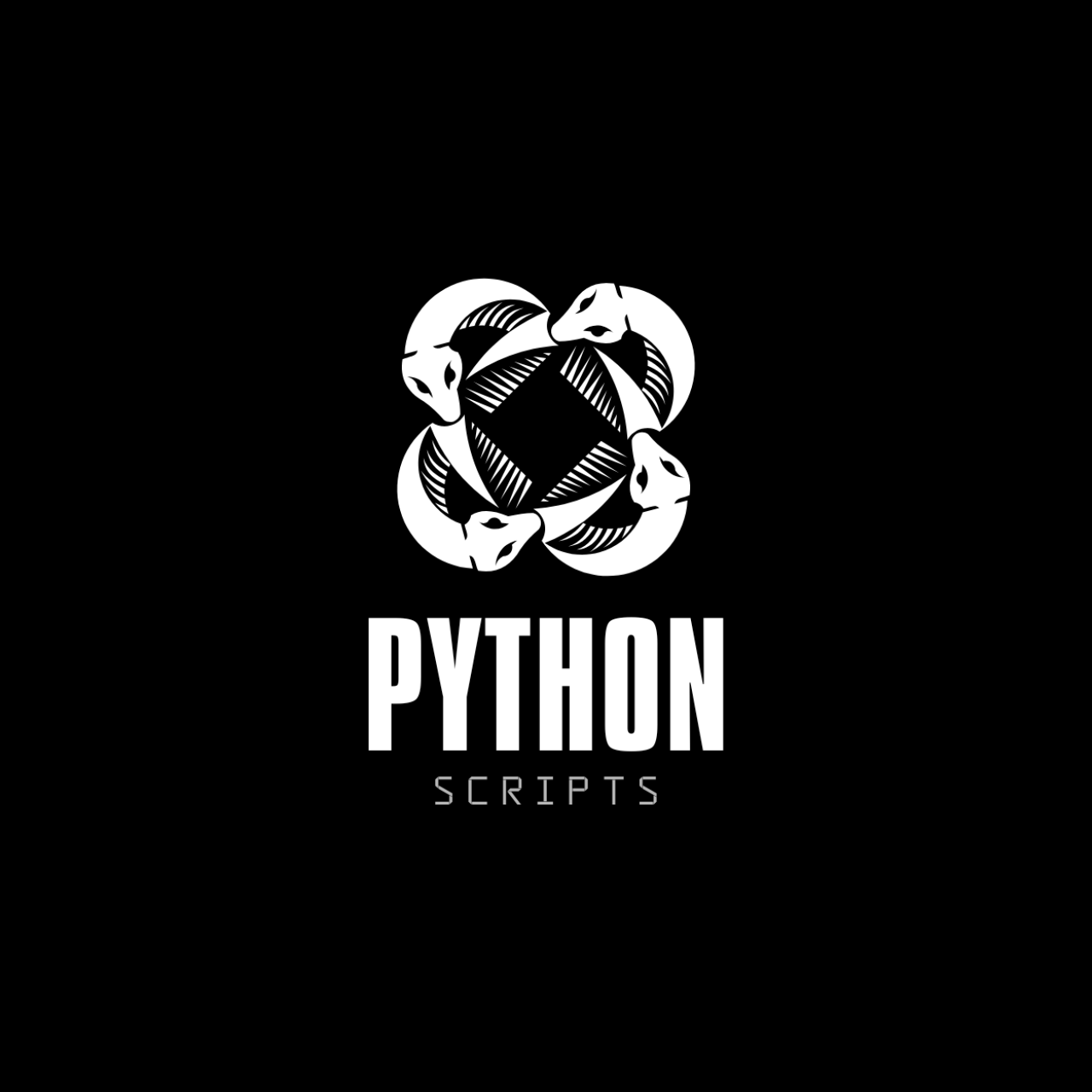 Python Basics: What You Need to Know to Run Your First Code