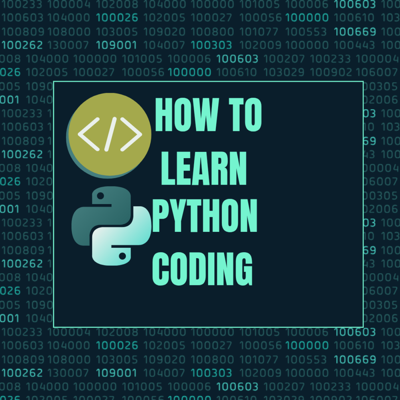 Learn Python from Scratch - A Step-by-Step Beginner's Guide